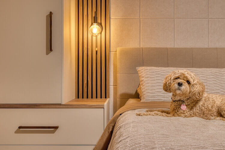 Canberra home interior HDR real estate photography with pet staging
